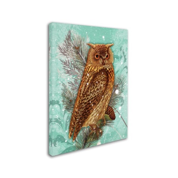 Tina Lavoie 'Snowy Owl' Canvas Art,24x32